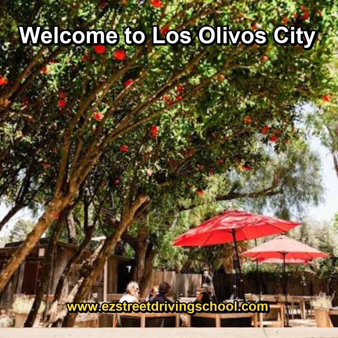 Driving Lessons in Los Olivos
